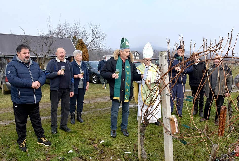 (F O T O) VINCELOVO U KAPTOLAČKIM VINOGRADIMA: Otvorene vatre, okićeni čokoti…
