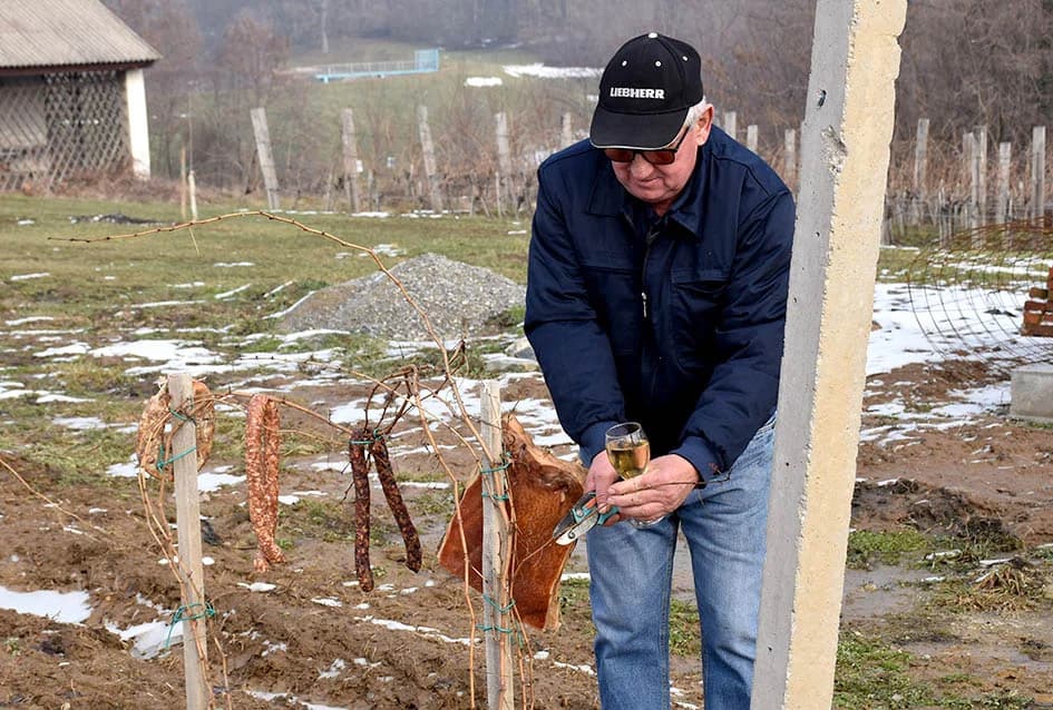 (F O T O) VINCELOVO U KAPTOLAČKIM VINOGRADIMA: Otvorene vatre, okićeni čokoti…