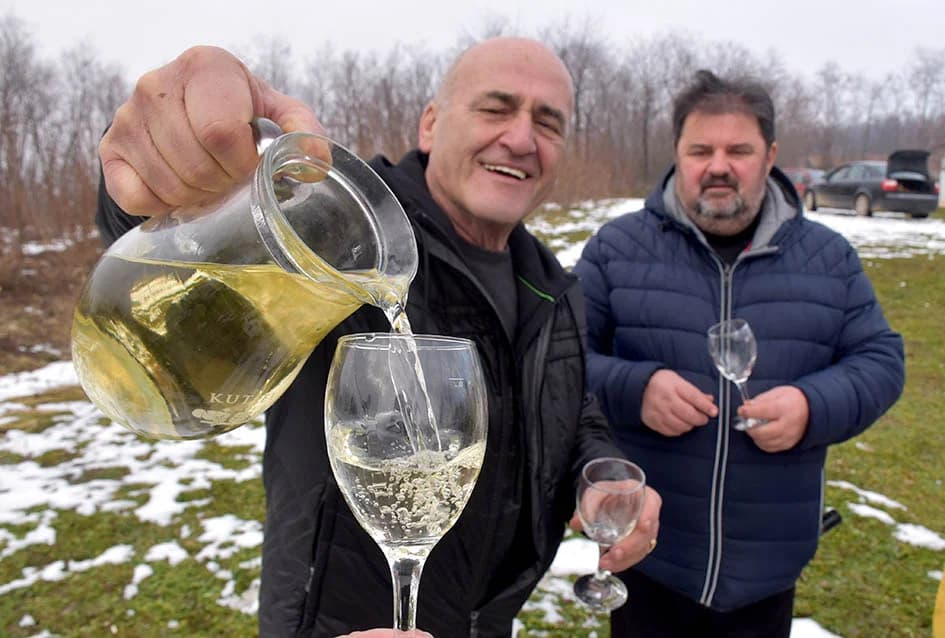 (F O T O) VINCELOVO U KAPTOLAČKIM VINOGRADIMA: Otvorene vatre, okićeni čokoti…