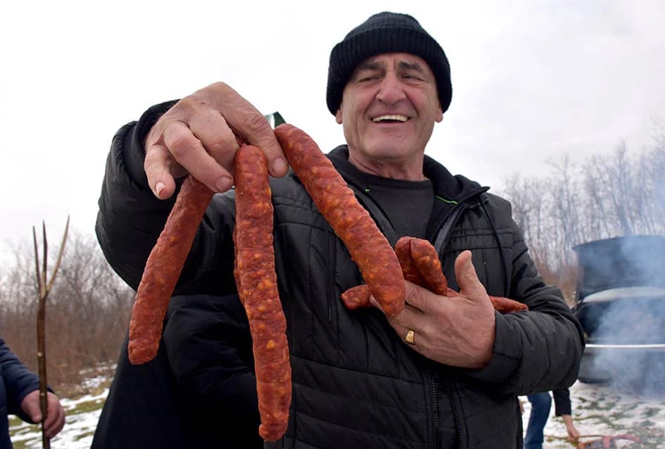 (F O T O) VINCELOVO U KAPTOLAČKIM VINOGRADIMA: Otvorene vatre, okićeni čokoti…