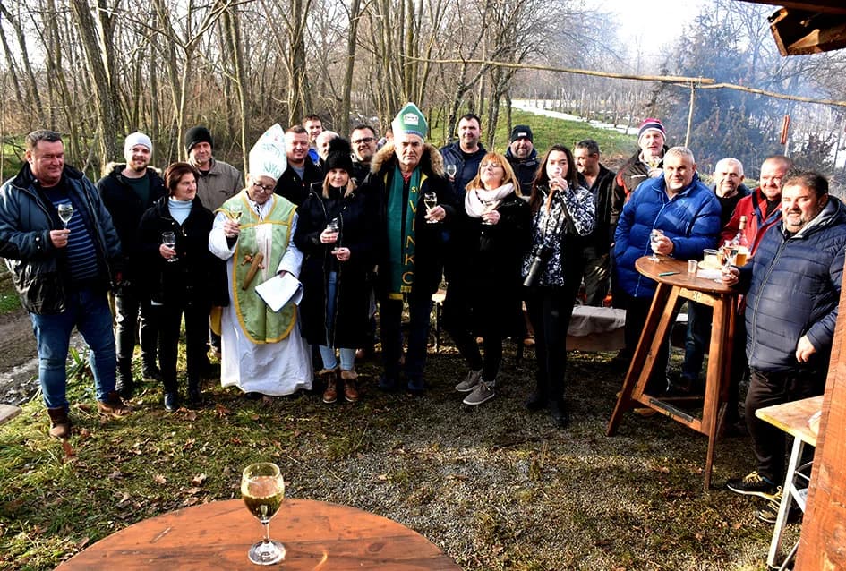 (F O T O) VINCELOVO U KAPTOLAČKIM VINOGRADIMA: Otvorene vatre, okićeni čokoti…