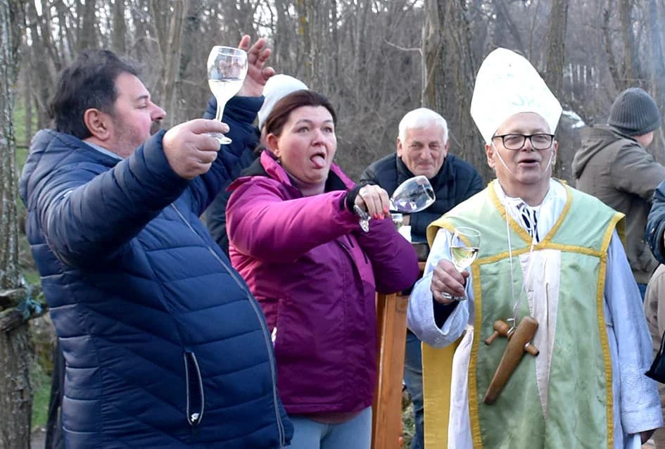 (F O T O) VINCELOVO U KAPTOLAČKIM VINOGRADIMA: Otvorene vatre, okićeni čokoti…