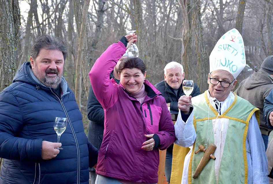 (F O T O) VINCELOVO U KAPTOLAČKIM VINOGRADIMA: Otvorene vatre, okićeni čokoti…