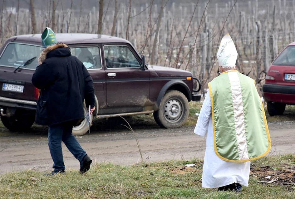 (F O T O) VINCELOVO U KAPTOLAČKIM VINOGRADIMA: Otvorene vatre, okićeni čokoti…