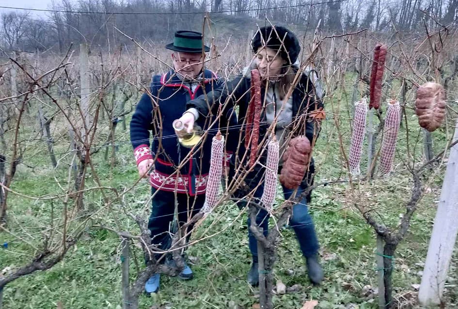 Pjevalo se kod Vukovićevih i na Sokolovcu u prigodi Vincelova