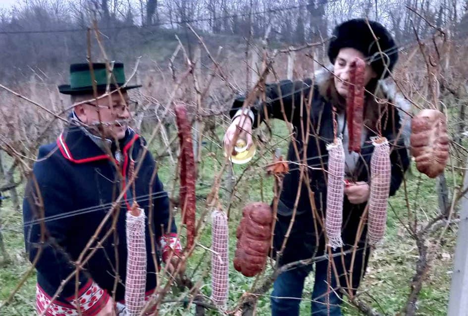 Pjevalo se kod Vukovićevih i na Sokolovcu u prigodi Vincelova