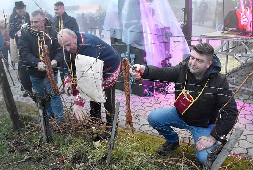 UZ ŠIMU JOVANOVCA I ŽETEOCE PROSLAVLJENO VINCELOVO U VETOVU: U slast ʼplanuloʼ 500 litara graha