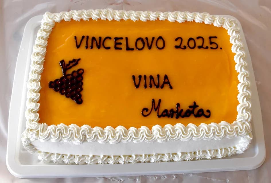 Na Starcu obilježili Vincelovo uz blagoslov vinove loze, pjesmu i druženje