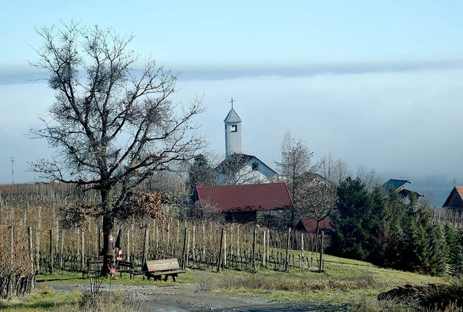 Na Starcu obilježili Vincelovo uz blagoslov vinove loze, pjesmu i druženje