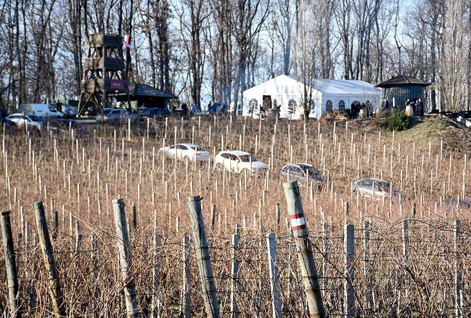 Na Starcu obilježili Vincelovo uz blagoslov vinove loze, pjesmu i druženje