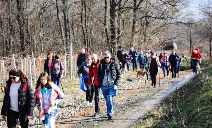 Zimski vincelovski pohod od Pleternice do Starca i Viškovačkog grada