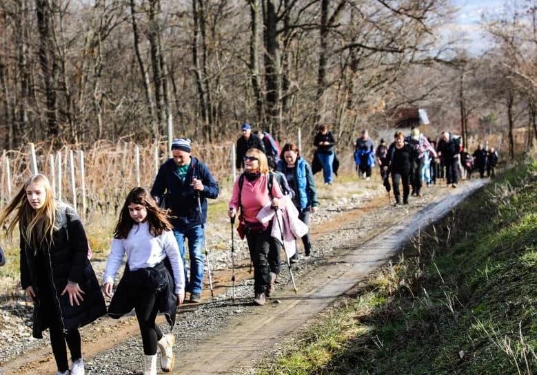 Zimski vincelovski pohod od Pleternice do Starca i Viškovačkog grada