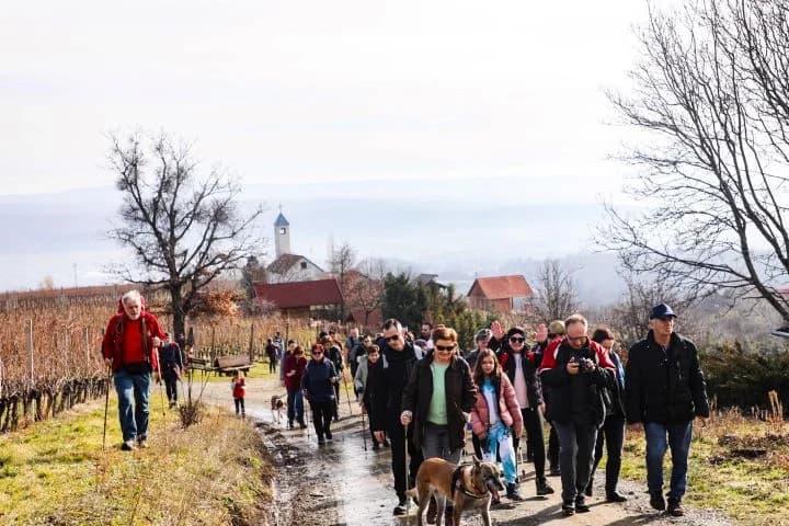 Zimski vincelovski pohod od Pleternice do Starca i Viškovačkog grada