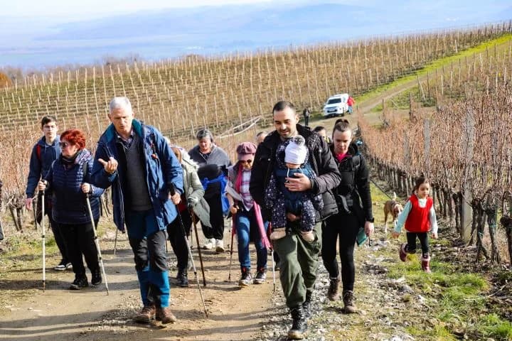 Zimski vincelovski pohod od Pleternice do Starca i Viškovačkog grada