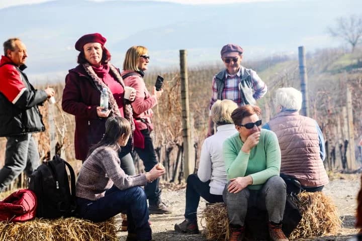Zimski vincelovski pohod od Pleternice do Starca i Viškovačkog grada