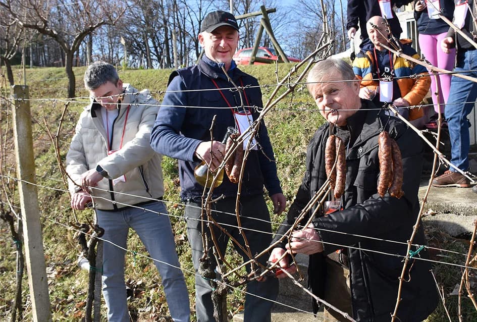VINCELOVO NA SOKOLOVCU KOD IVANOVIĆEVIH: ʼNe ponovile se zadnje dvije godineʼ