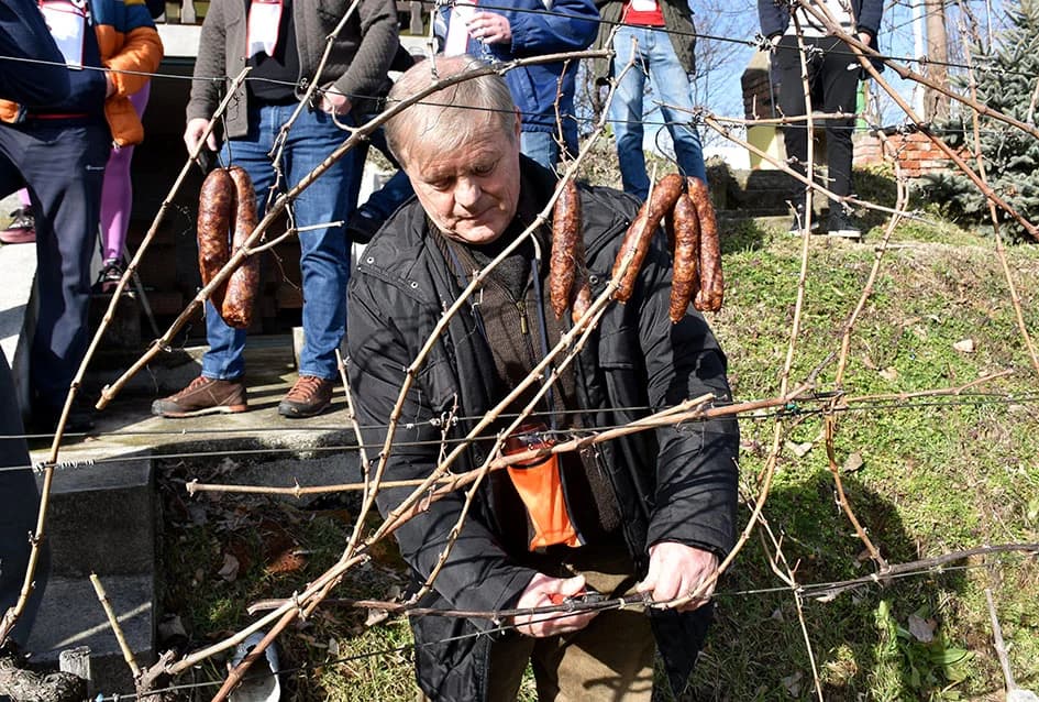 VINCELOVO NA SOKOLOVCU KOD IVANOVIĆEVIH: ʼNe ponovile se zadnje dvije godineʼ