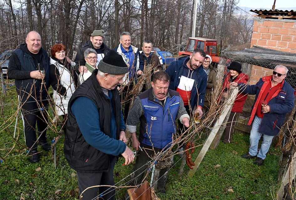 I TO BI BILO TO ZA OVU GODINU - PROSLAVA VINCELOVO NA SV. JELENI IZNAD POŽEGE: Branko Smolić najavio novu vinogradarsku sezonu
