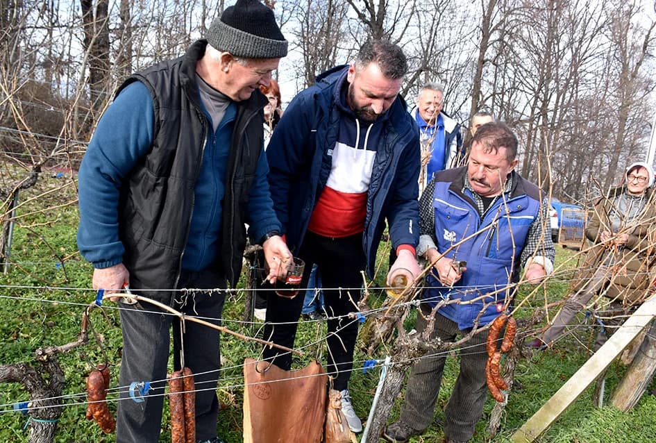 I TO BI BILO TO ZA OVU GODINU - PROSLAVA VINCELOVO NA SV. JELENI IZNAD POŽEGE: Branko Smolić najavio novu vinogradarsku sezonu