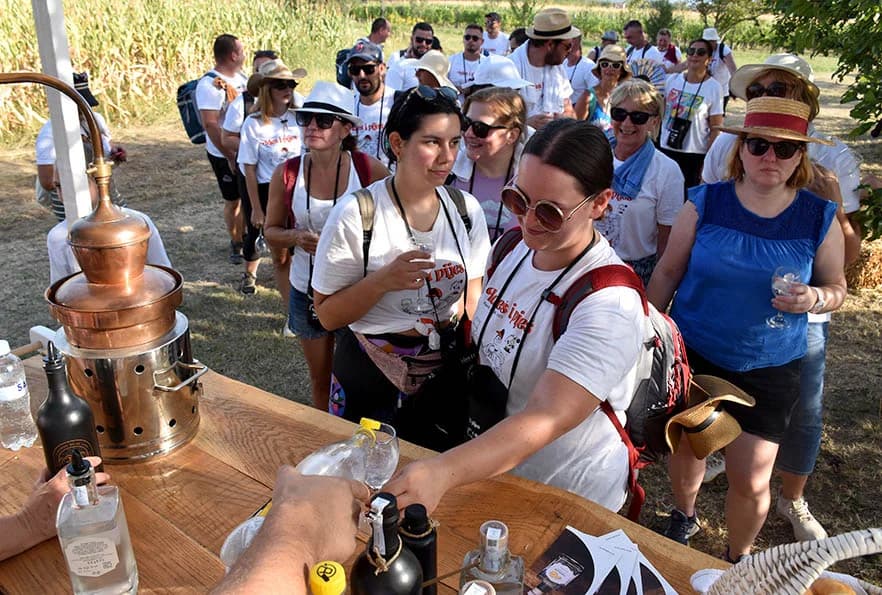 [FOTOGALERIJA] Uz jelo i piće kaptolačkim vinogradima prošlo više od četiri stotine sudionika