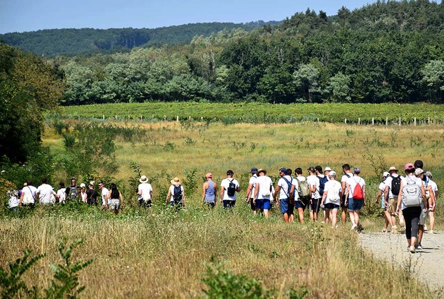 [FOTOGALERIJA] Uz jelo i piće kaptolačkim vinogradima prošlo više od četiri stotine sudionika