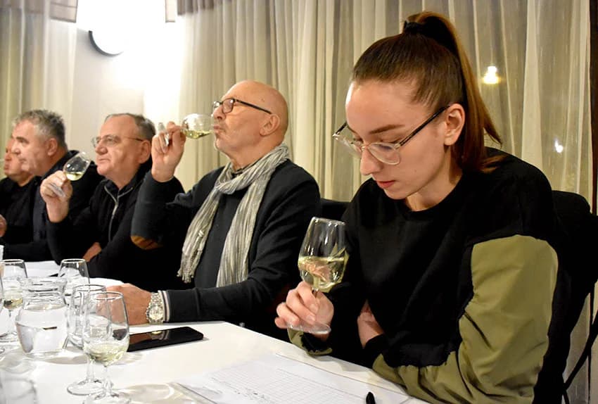 Ocjenjene mane i vrline 13 vina