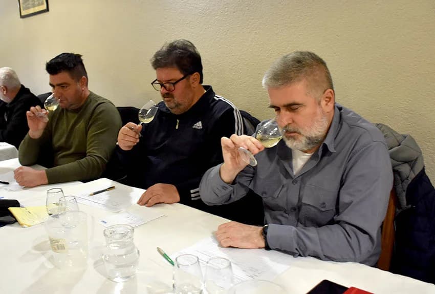 Ocjenjene mane i vrline 13 vina