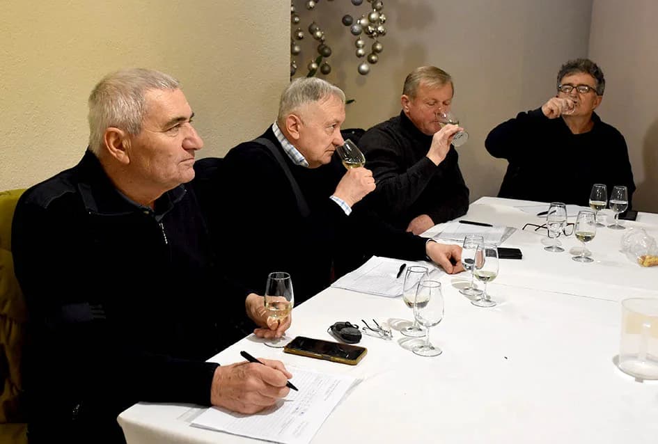 Ocjenjene mane i vrline 13 vina