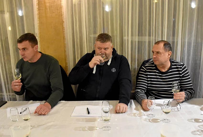 Ocjenjene mane i vrline 13 vina