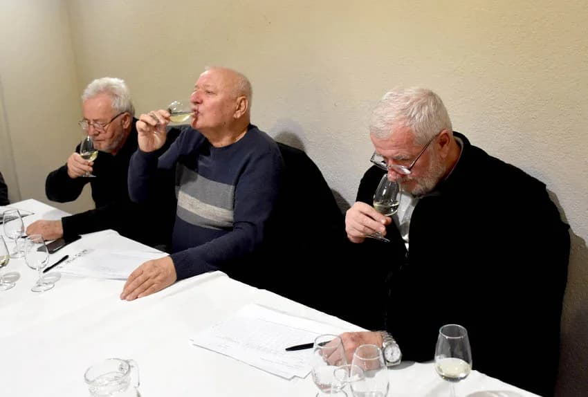Ocjenjene mane i vrline 13 vina