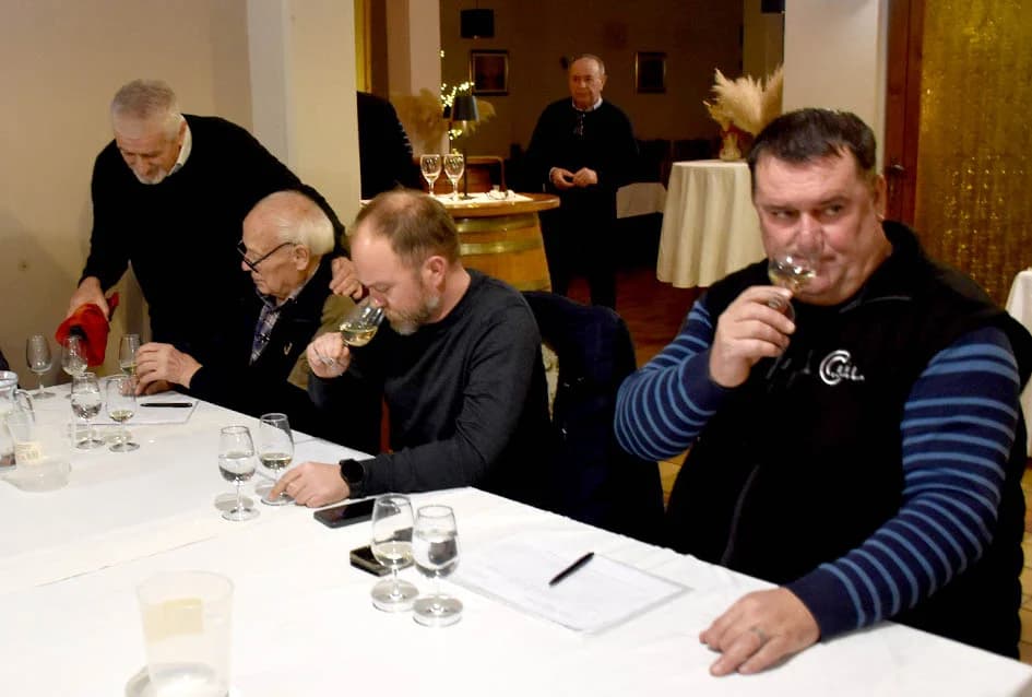 Ocjenjene mane i vrline 13 vina