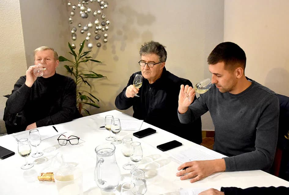 Ocjenjene mane i vrline 13 vina