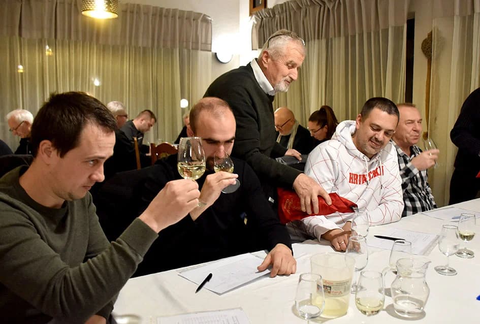 Ocjenjene mane i vrline 13 vina