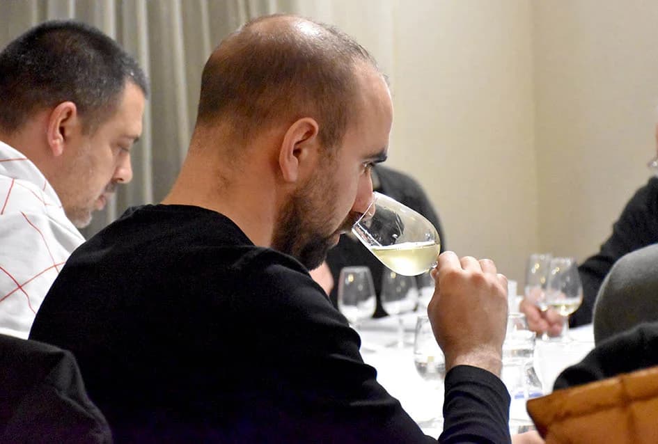 Ocjenjene mane i vrline 13 vina