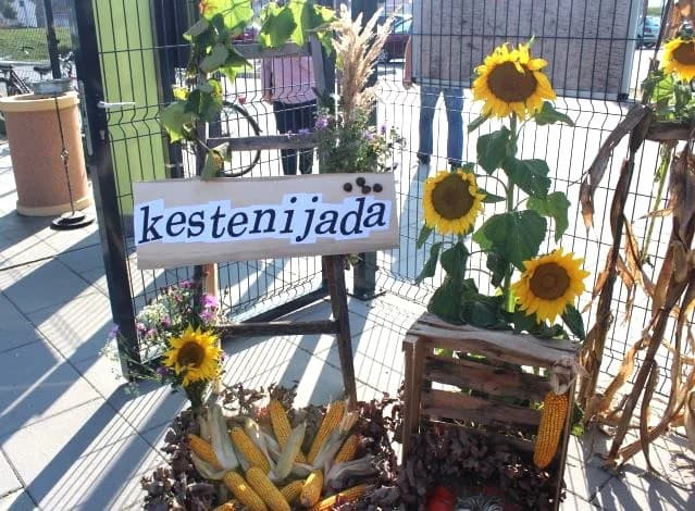 Na Gradskoj tržnici u Pleternici održane manifestacije Jesenski sajam i 16. Kestenijada /FOTO/