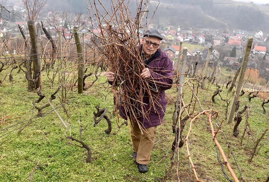 IVAN FISTRIĆ IZ KUTJEVA: Vinski biskup, vinogradar i podrumar