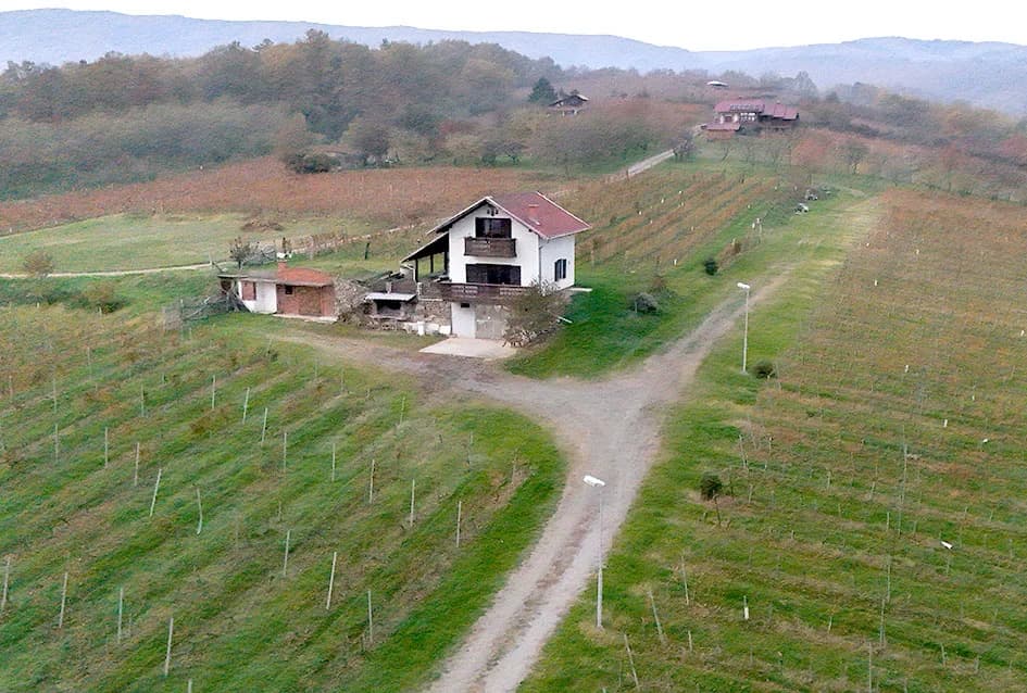 Završena rezidba u vinogradu kutjevačke obitelji Mihalj