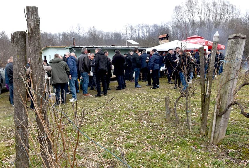 Masovan odaziv Požežana kod baj Mate na Matijevu u Šušanju kod Nove Kapele