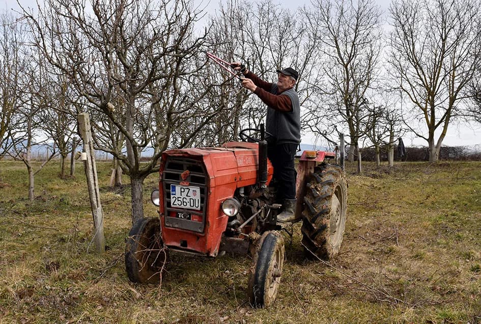 DOSJETIO SE DA NE BI BILO....: S traktora orezuje voćnjak - ljestve nisu sigurne za moje godine