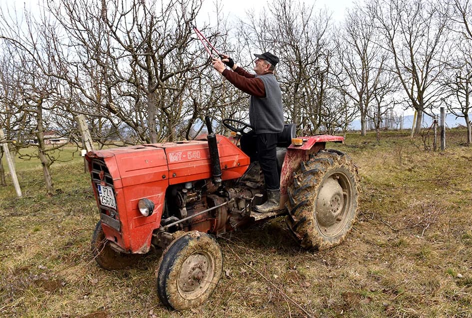 DOSJETIO SE DA NE BI BILO....: S traktora orezuje voćnjak - ljestve nisu sigurne za moje godine