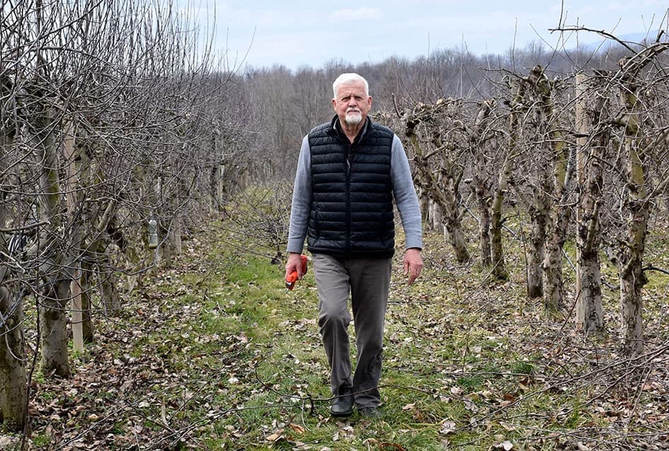 AGRONOM BOŽO BOKŠIĆ IZ VELIKE: Voćar, vinogradar i pedagog