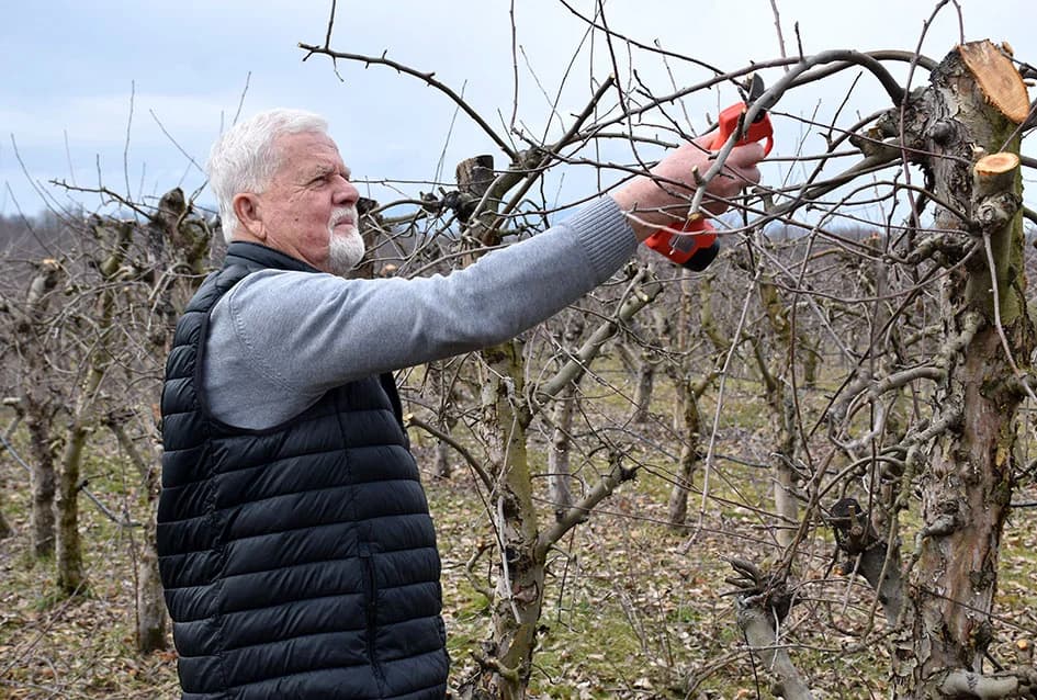 AGRONOM BOŽO BOKŠIĆ IZ VELIKE: Voćar, vinogradar i pedagog