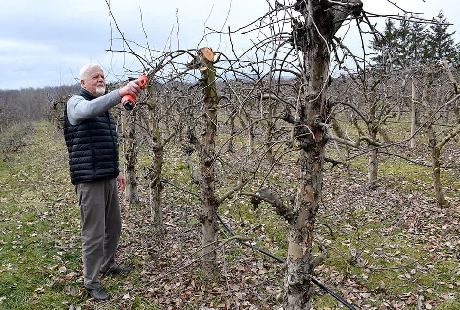 AGRONOM BOŽO BOKŠIĆ IZ VELIKE: Voćar, vinogradar i pedagog