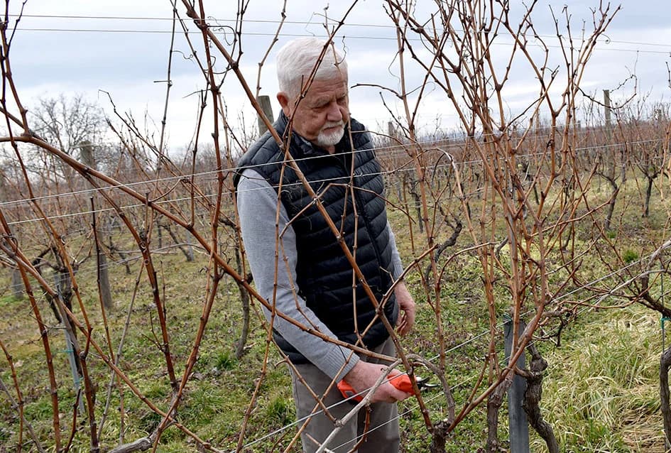 AGRONOM BOŽO BOKŠIĆ IZ VELIKE: Voćar, vinogradar i pedagog