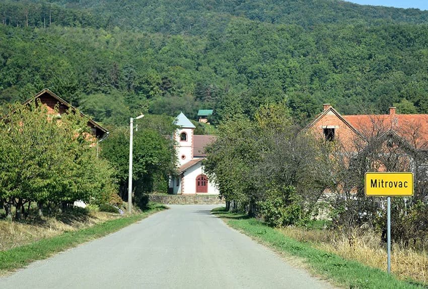MIROSLAV ŠKORO ZAVRŠIO OVOGODIŠNJU BERBU U VINOGRADU U MITROVCU: Bolji pjevač nego berač