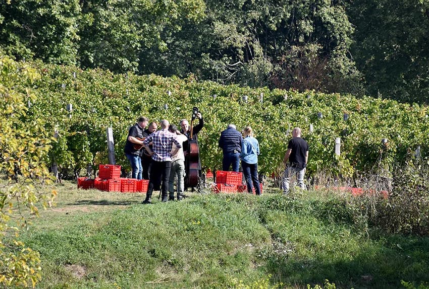 MIROSLAV ŠKORO ZAVRŠIO OVOGODIŠNJU BERBU U VINOGRADU U MITROVCU: Bolji pjevač nego berač