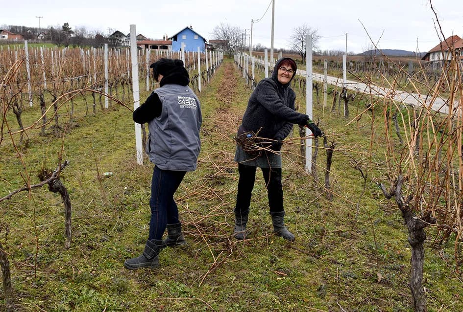 Kata i Đurđa tandem za radove u vinogradu
