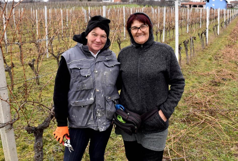 Kata i Đurđa tandem za radove u vinogradu