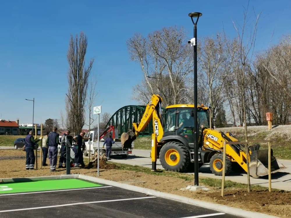 Sadnja drveća na tržnici u Cvjetnoj ulici