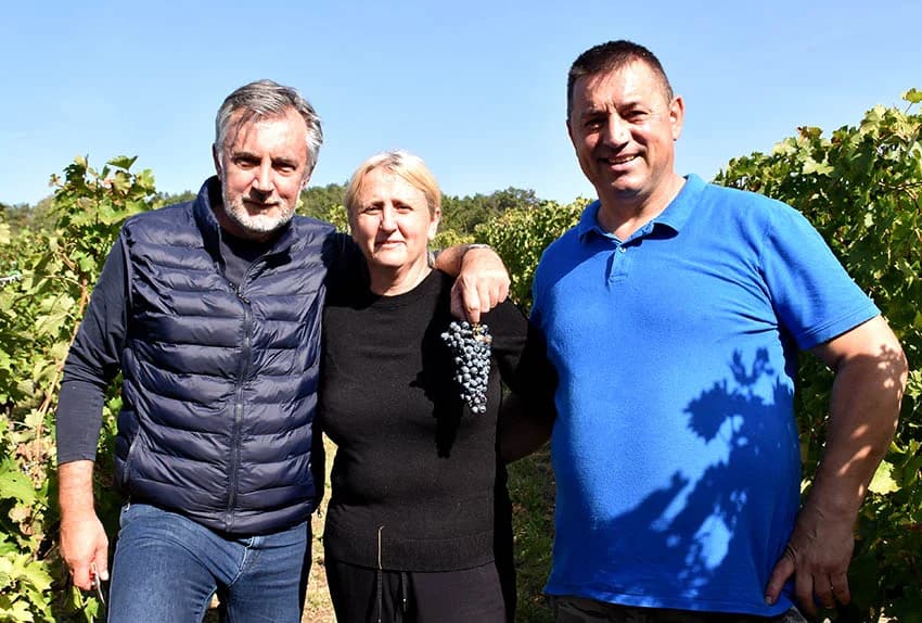 MIROSLAV ŠKORO ZAVRŠIO OVOGODIŠNJU BERBU U VINOGRADU U MITROVCU: Bolji pjevač nego berač